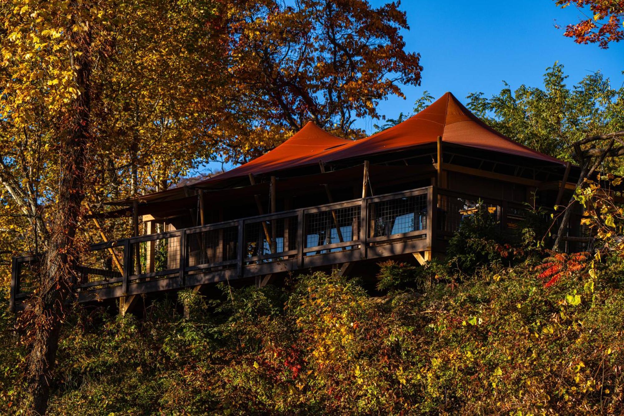 Hotel Elk & Embers Mountain Hideaway à Waynesville Extérieur photo